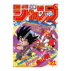 【フラットガシャポン】DRAGON BALL Poster Collection