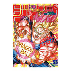 【フラットガシャポン】DRAGON BALL Poster Collection